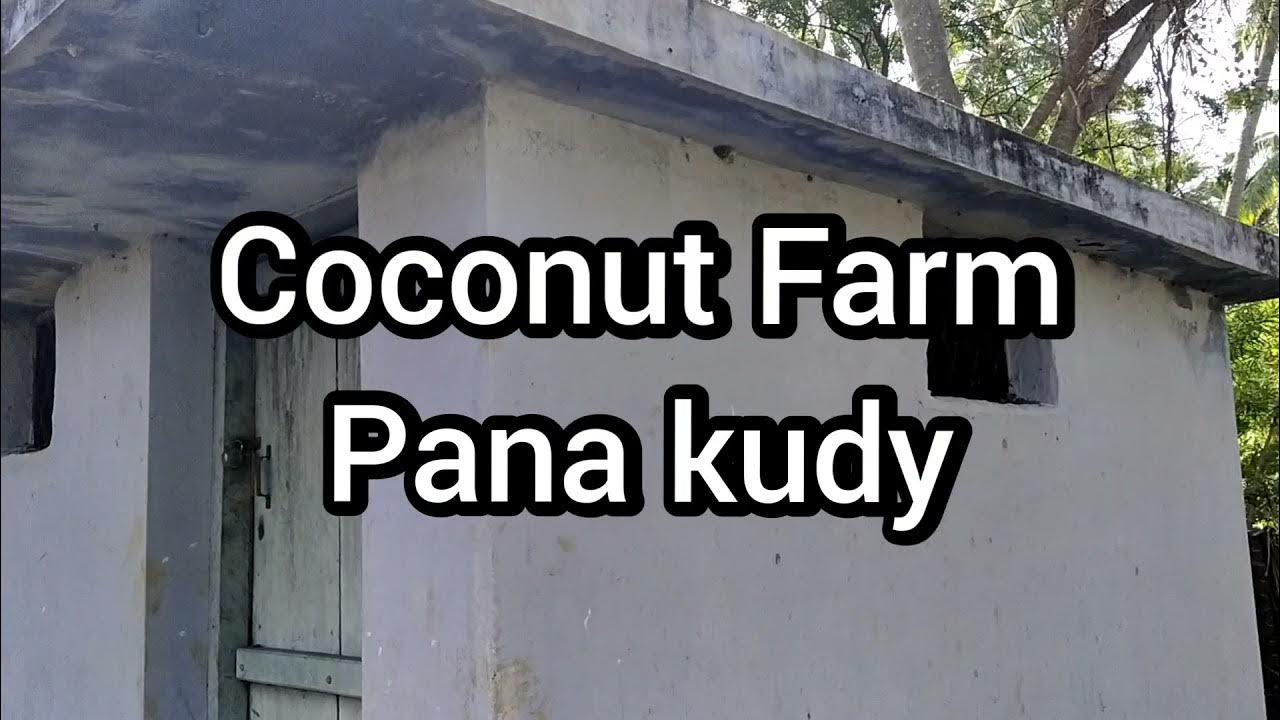 Coconut Farm, Panakudy, Near Kumplam Padu, Valliyoor, Tirunelveli district, Makara Jothi reals