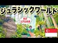【シンガポール旅行】USJ超え!?世界一リアルなジュラシックワールド体験施設が想像の斜め上すぎた…【ガーデンズ・バイ・ザ・ベイ】【海外旅行VLOG】