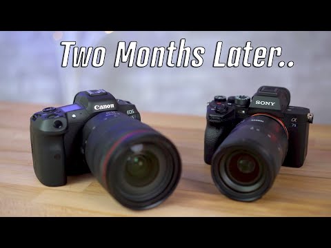 EOS R5 vs A7s3 Comparison after 2 Months - Selling one..
