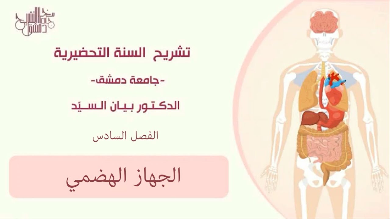 السنة التحضيرية_ الفصل السادس_ الجهاز الهضمي