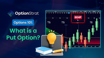 Options 101   What is a Put Option