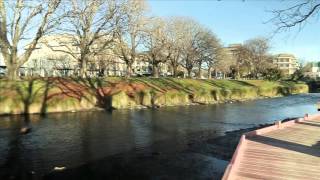 An introduction to Te Papa Ōtākaro Avon River Precinct Project