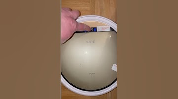 CLEAN UP #Shorts #Shortsfeed #Shortsbeta #YouTube #Subscribe #Short #Film #Like #Cleanup #Sauger #FE