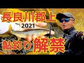 【鮎釣り郡上解禁2021】美鮎の舞う!ついに長良川郡上の鮎釣りが解禁!