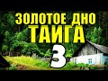 20 ЛЕТ В ТАЙГЕ | ПРИКЛЮЧЕНИЯ НА ПЛОТУ | ПОХОД В ГОРЫ - АЛЬПЫ | ЗИМОВЬЕ В ЛЕСУ 3