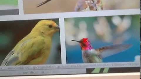 Live Demo: Part Detector Discovery in Deep Convolutional Neural Networks