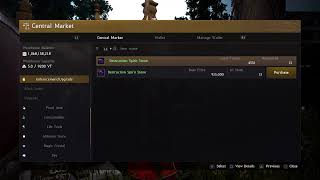 Black Desert-Upgrades