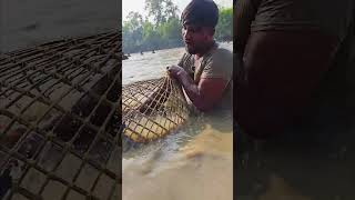 Wow! Amazing Polo Fishing Videos ! Best Big Fish Catching ! Primitive Technique fishing #fish #india