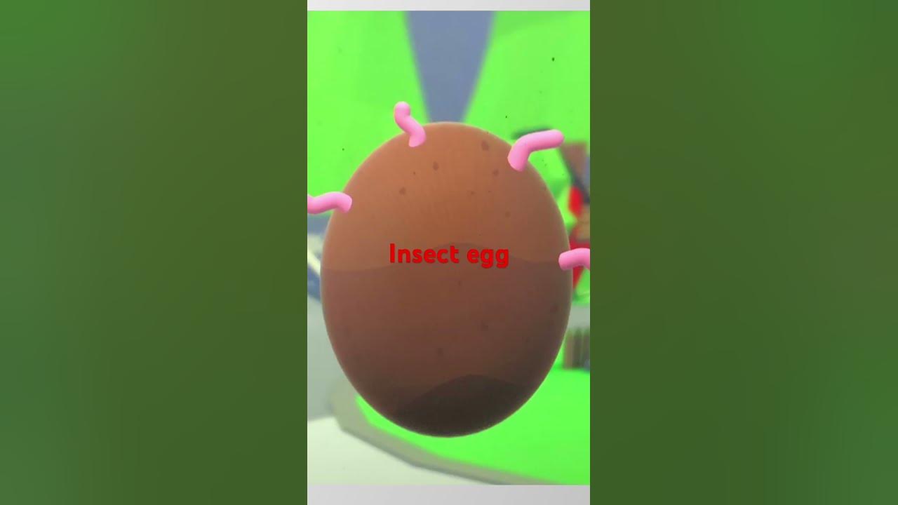 my new adopt me egg update concepts!! - YouTube