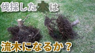 枯れ木は使えるのか