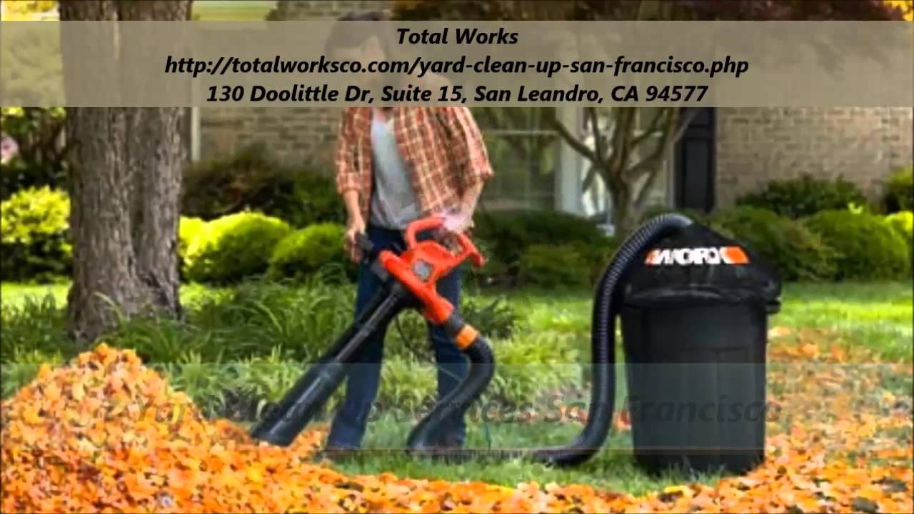 Total Works : Yard Clean Up San Francisco - YouTube