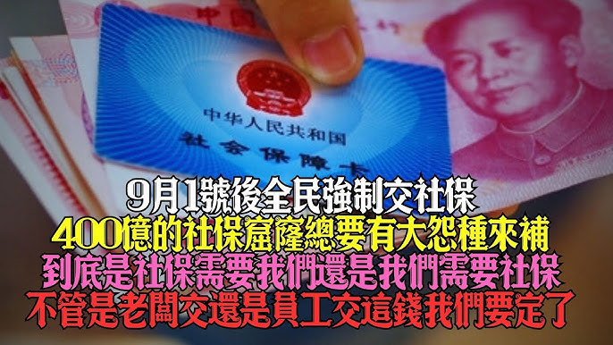 9月1號後全民強製交社保.400億的社保窟窿總要有大怨種來補.到底是社保需要我們還是我們需要社保.不管是老闆交還是員工交這錢我們要定了#reaction - YouTube