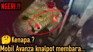 mobil avanza knalpot merah membara