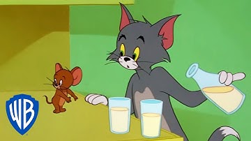 Tom y Jerry en Latino | Tom y Jerry en pantalla grande | WB Kids