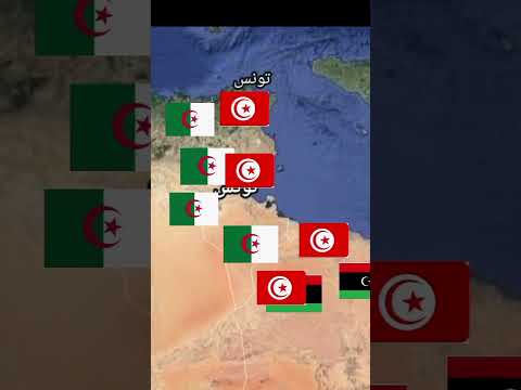 حرب بين تونس وليبيا جزائري 