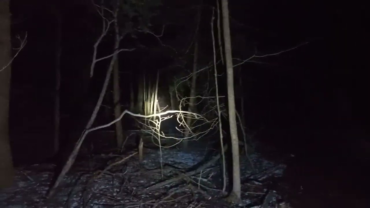 Pt 4 can you hear him (BF) EYE SHINE READ BELOW