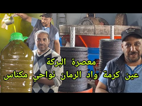 عصر زيت الزيتون بطريقة تقليدية الحجرة و الشوامي بمعصرة البركة عند ياسين بعين كرمة واد الرمان مكناس