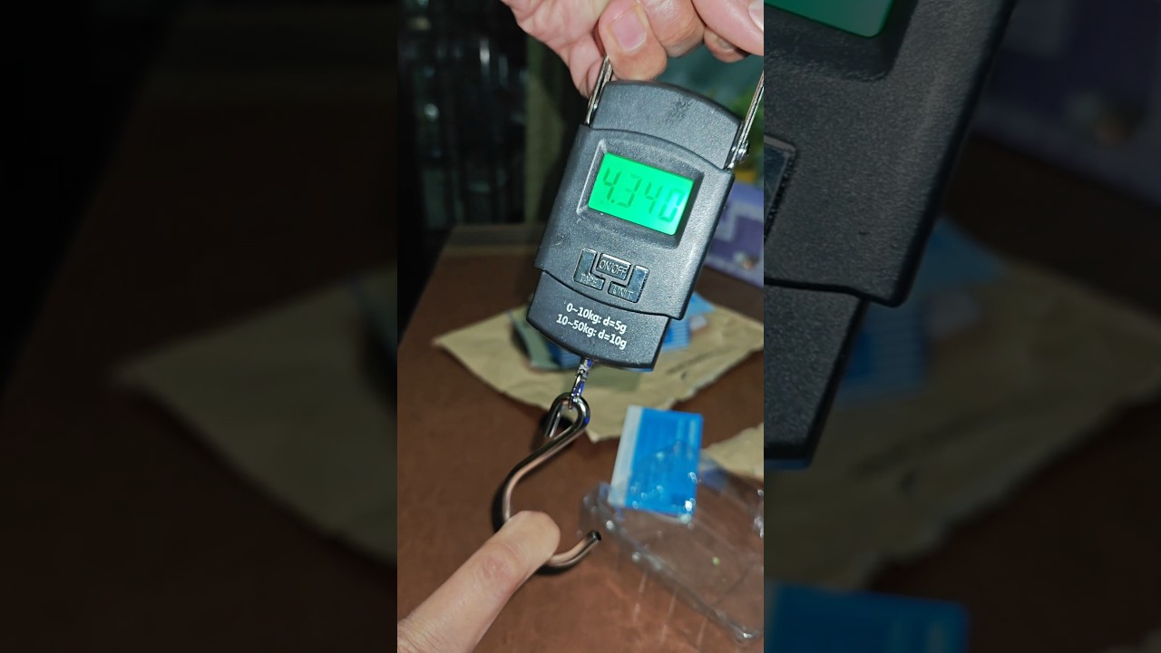 Portable Electronic Scale 