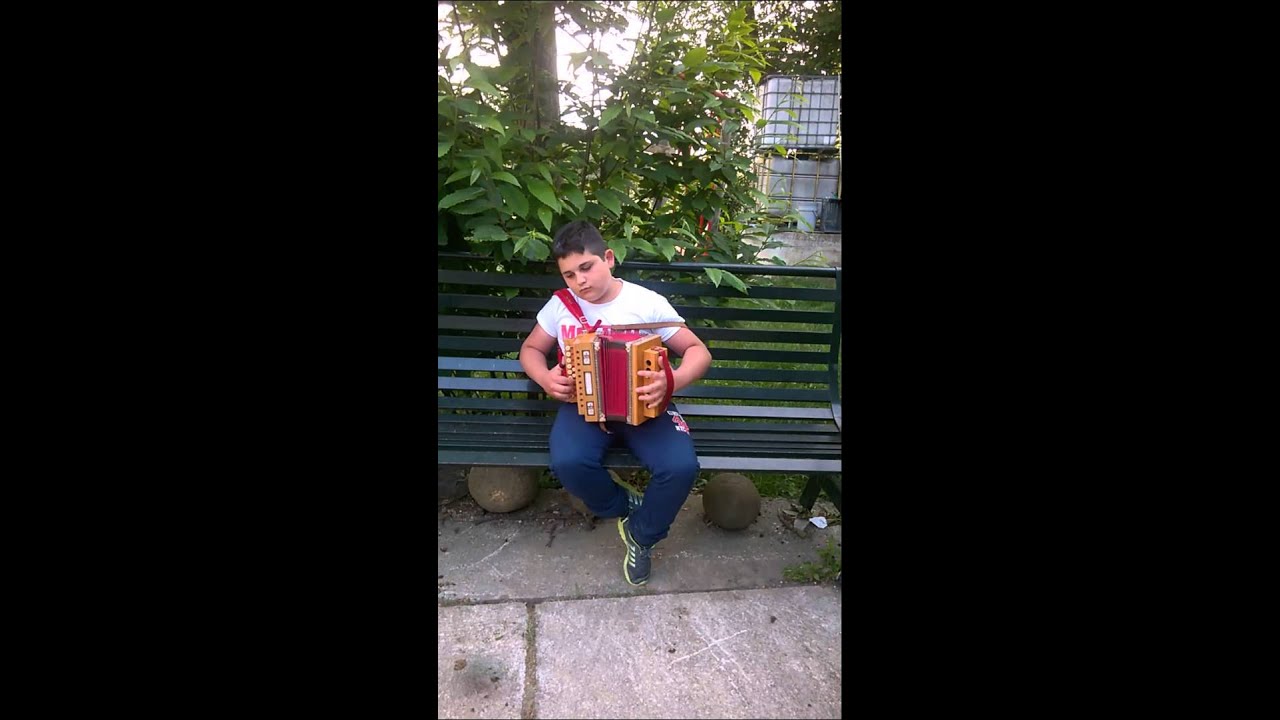 cilentana organetto cantata da alessandro gentile