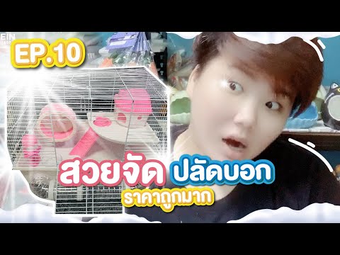 EP.10 : กรงแฮมเตอร์ ขนาด 47 ซม ทำไมสวยขนาดนี้ ??