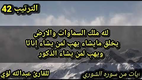 اواخر سوره الشوري بصوت رائع وجميل وهادئ للقارئ عبدالله لؤي ورده