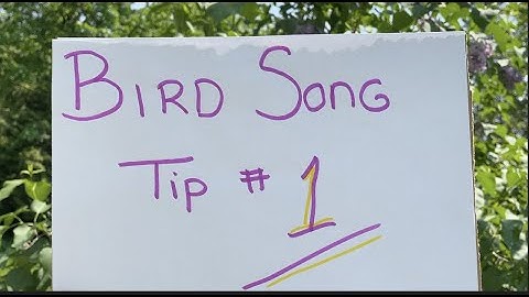 Learning Bird Song - Tip #1