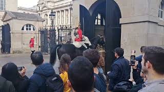 Kings Guard Horse Farts In Front Of Tourist Making Them Laugh