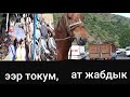 Жылкы~ ат  ЖАБДЫКТАРЫ АРЗАН БААДА~заказ~Тойго жабдыктар