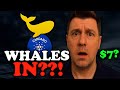 Cardano Whales Are Accumulating: What They’re Not Telling You 🐋
