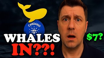 Cardano Whales Know Something Big - What are they not telling you...