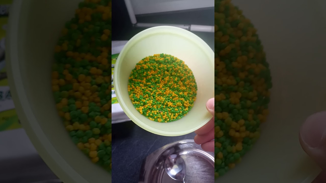 Préparation de la pâtée pour canaris avec perles de morbide - YouTube