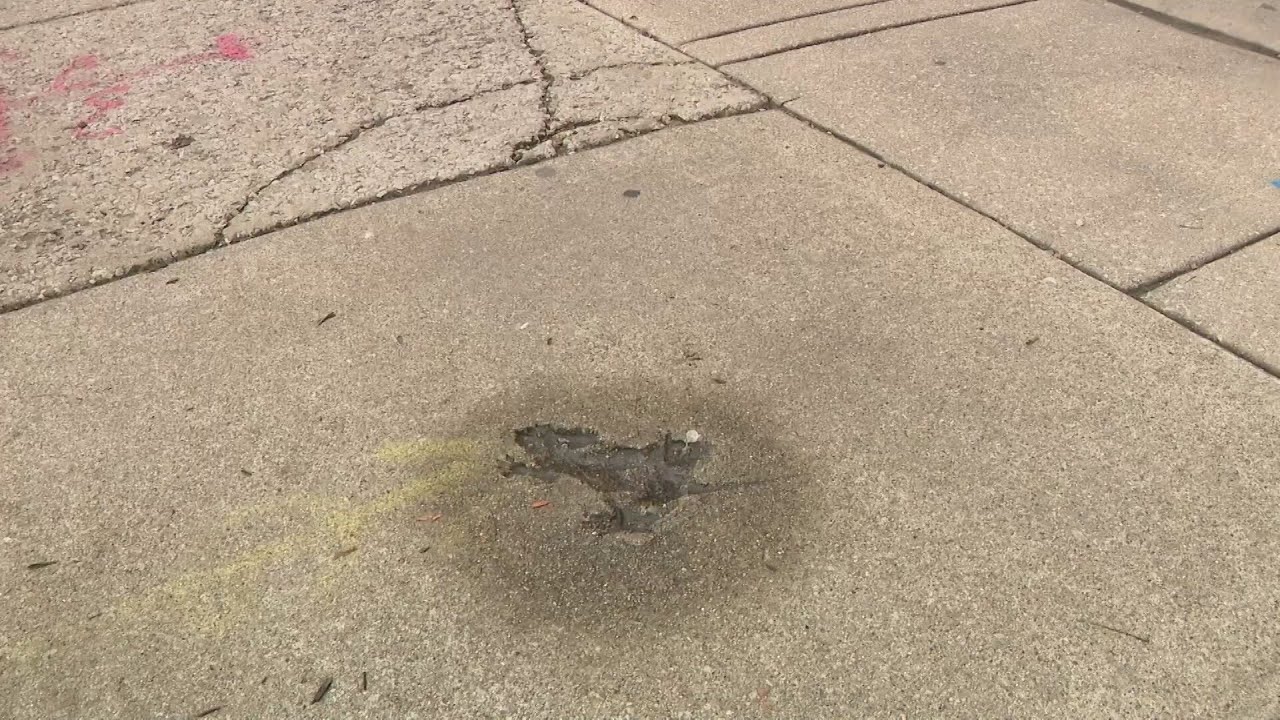 ‘Chicago Rat Hole’ is not imprint of rat, study suggests