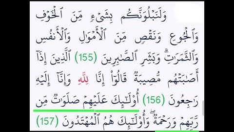 تعليم سورة البقرة آية د جمال القرش (5)