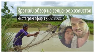 Жизнь в деревне. Обзор на сельское хозяйство. Ответы на вопросы в прямом эфире инстаграм 13.02.2021