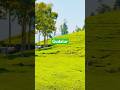 Gudalur/ഗുഡല്ലൂർ #nature#gudalur#tour#viralshorts