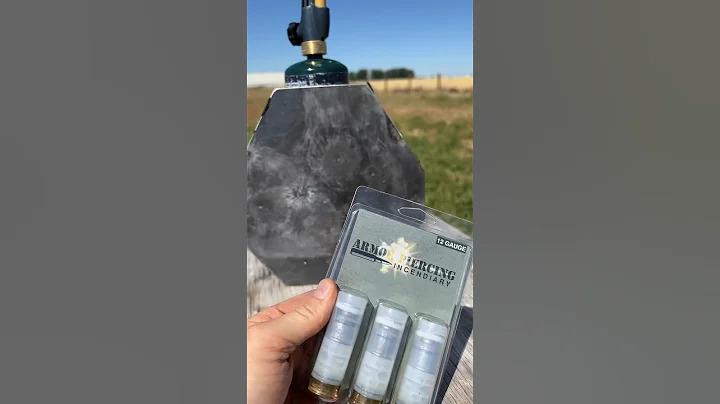 Can Armor Piercing Rounds Defeat AR500 plates? #guntest #gun #ar500