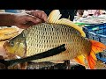 Fabulous Golden Carp Fish Cutting Live In Fish Market | Fish Cutting In Bangladesh