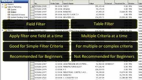 Using Filter in Navision - Dynamics NAV