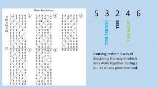 A beginners' guide to coursing order