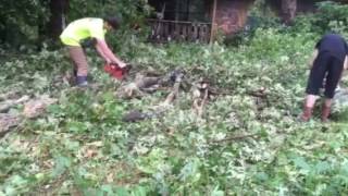 Storm cleanup 7/14/16