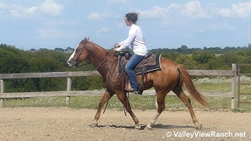 Danny - jog, stops, lope-offs, turns, dismount! - ValleyViewRanch.net