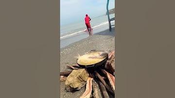 Cá Lớn - Được cá chiên luôn ở bờ biển 🤣 #khacthuyvlogg