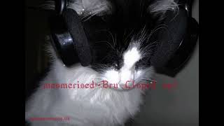 mesmerised~Bru C (Sped up)