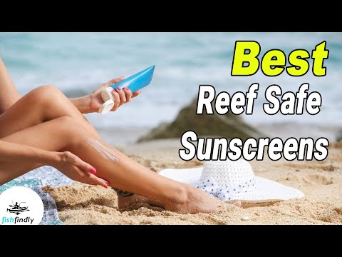 Best Reef Safe