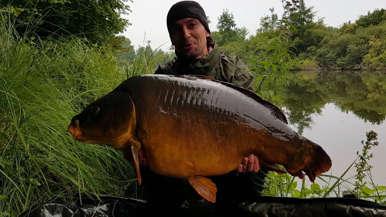 pêche à la Carpe "rivière la Somme" YouTube
