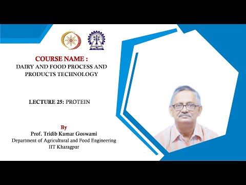 Lecture 25 : Protein