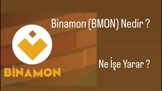 Binamon (BMON) Nedir ? Ne İşe Yarar ? Fiyat Tahmini