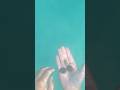 Finding live sand dollars &amp; olive shells #panamacitybeach #snorkeling  #panamacityflorida