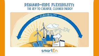 Demand-Side Flexibility | The key to cheaper, cleaner energy