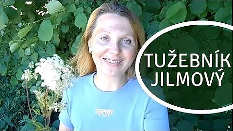 Jaké bylinky pomáhají proti pálení žáhy?